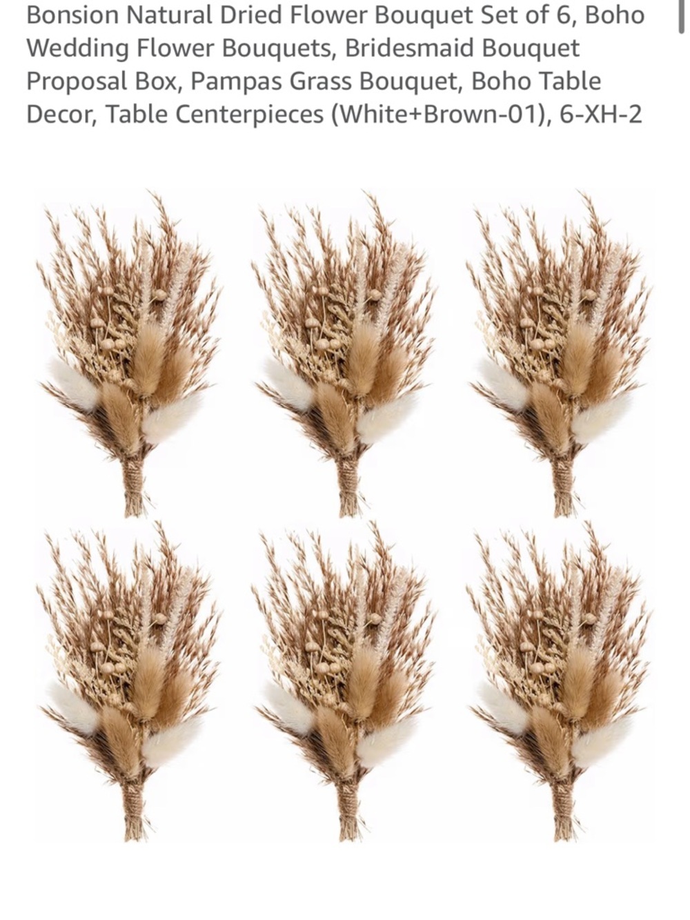 Dried Pampas & Mixed Grasses Bouquet - Natural Tan Set of 6